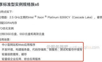阿里云服务器ECS共享型s6建网站企业官网够用吗？