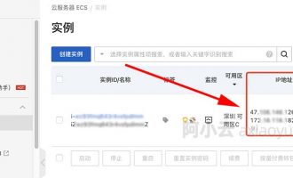 阿里云服务器怎么查看IP地址？（公网ip/私网ip）