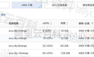 阿里云服务器CPU处理器芯片倚天Yitian 710性能评测