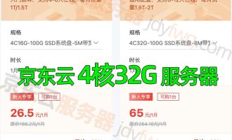 京东云4核32G轻量服务器优惠价格65元/月、951元一年