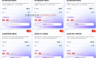 发现了一家又便宜又好的云服务器——天翼云28元一年